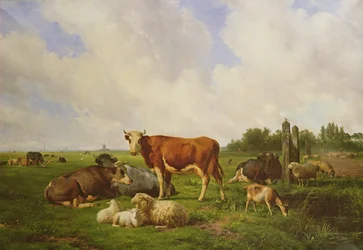 Ovejas y ganado en un campo